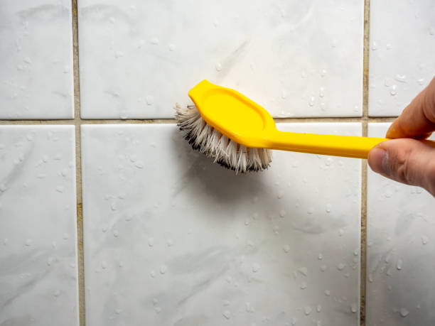 Best Home Mold Removal  in Independence, VA