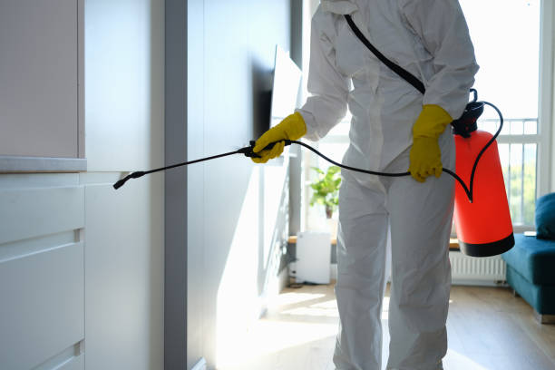 Best Mold Testing  in Independence, VA