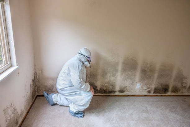 Best Crawl Space Mold Removal  in Independence, VA